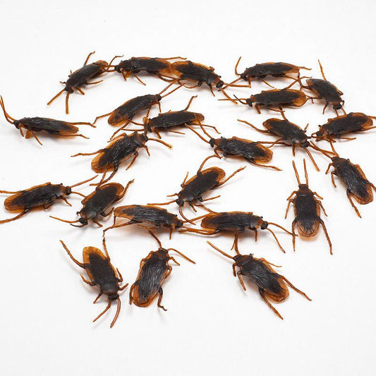 Fake Plastic Cockroach Toys Set (100 Pieces) by HitMyNeed