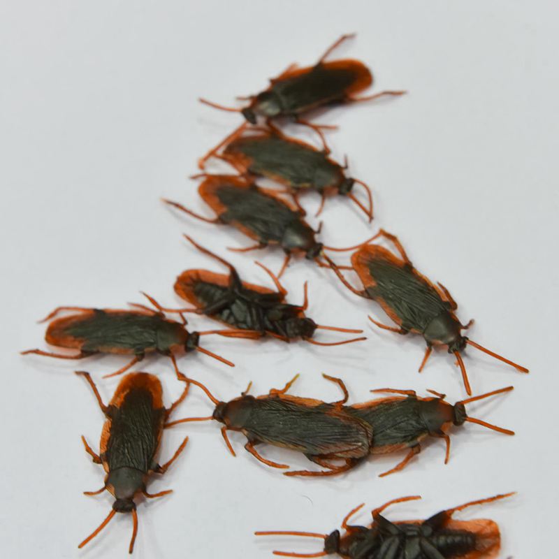 Fake Plastic Cockroach Toys Set (100 Pieces) by HitMyNeed