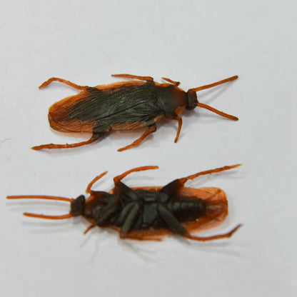 Fake Plastic Cockroach Toys Set (100 Pieces) by HitMyNeed