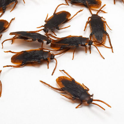 Fake Plastic Cockroach Toys Set (100 Pieces) by HitMyNeed