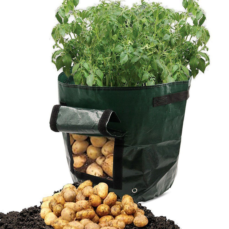 Farming Grow Bags for Vegetables, Herbs & Flowers by HitMyNeed
