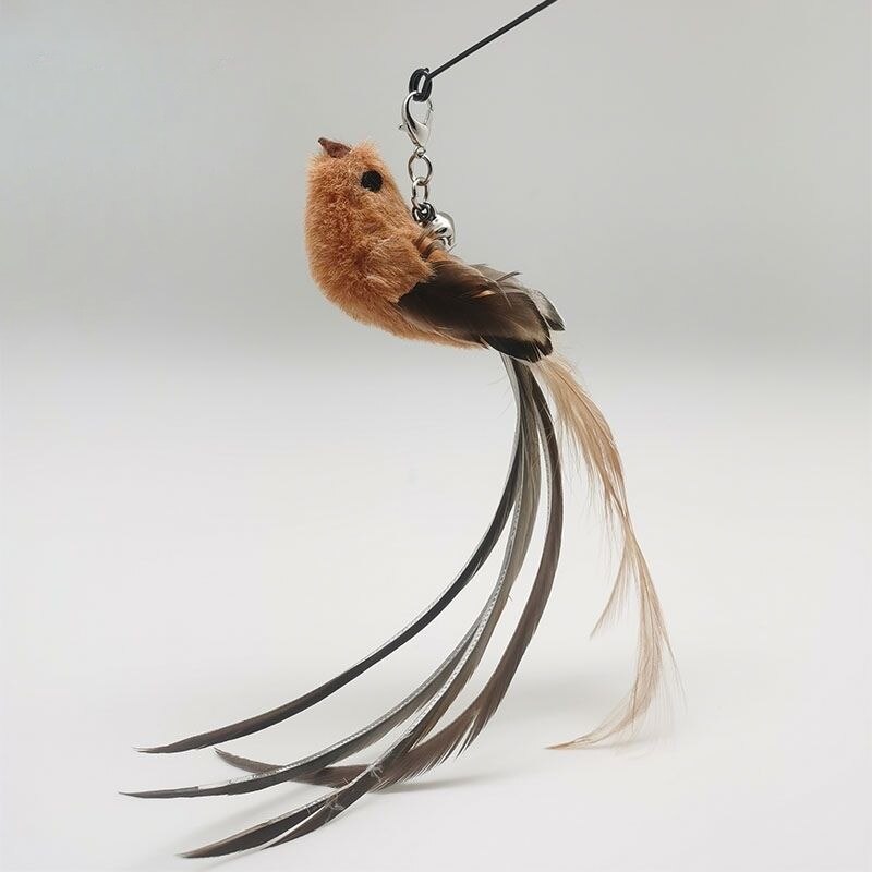 Feather Cat Teaser Wand with Flexible Steel Wire by HitMyNeed