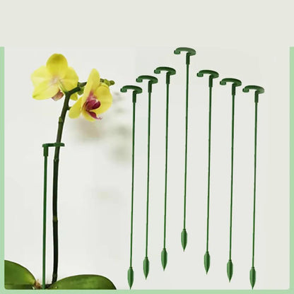 Fiberglass Orchid Support Sticks with Ring Holders 10pcs-27cm by HitMyNeed