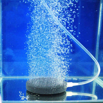 Fish Tank Bubble Stone Aerator for 4 mm Air Tubing by HitMyNeed