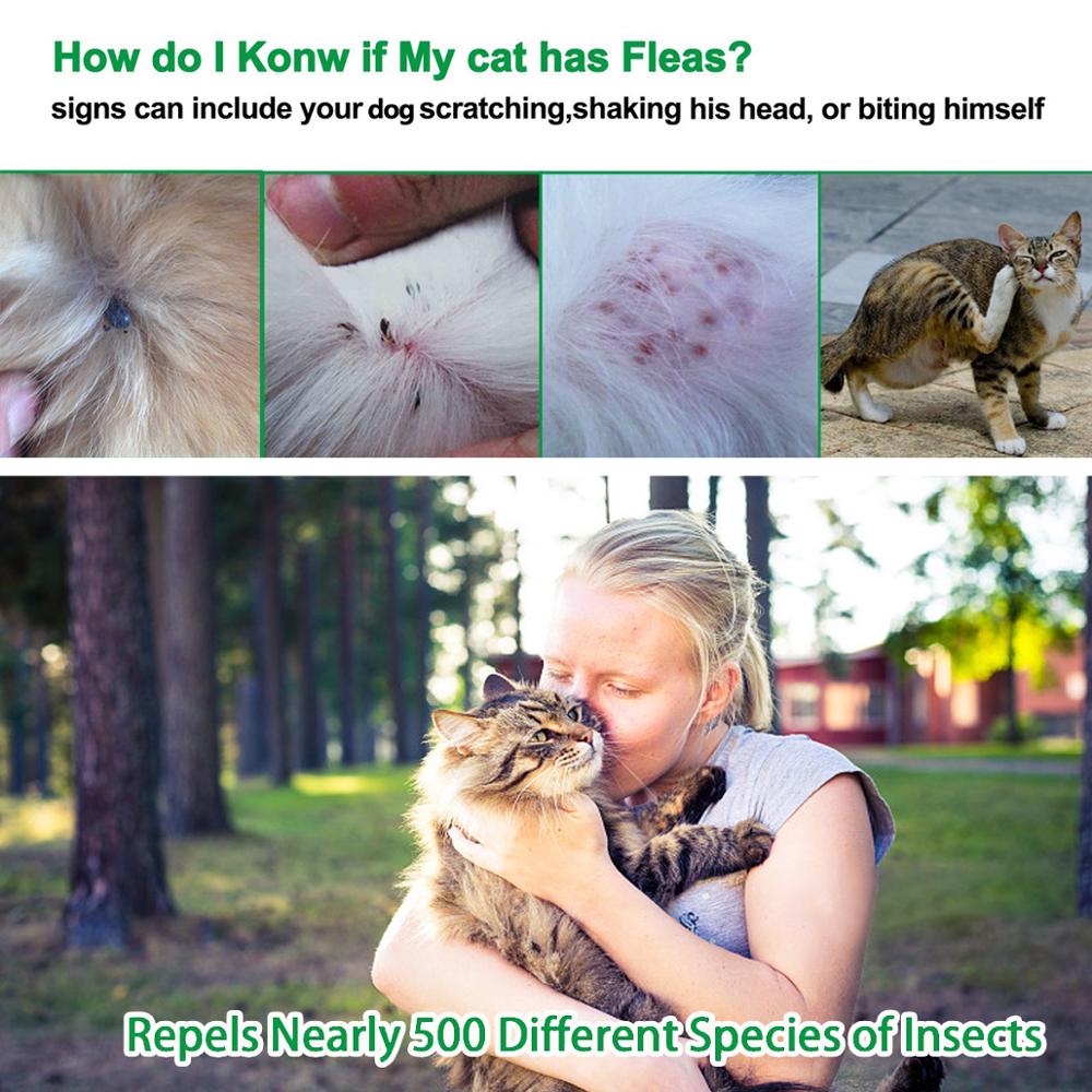 Flea & Tick Collar for Cats - 8 Months Protection by HitMyNeed