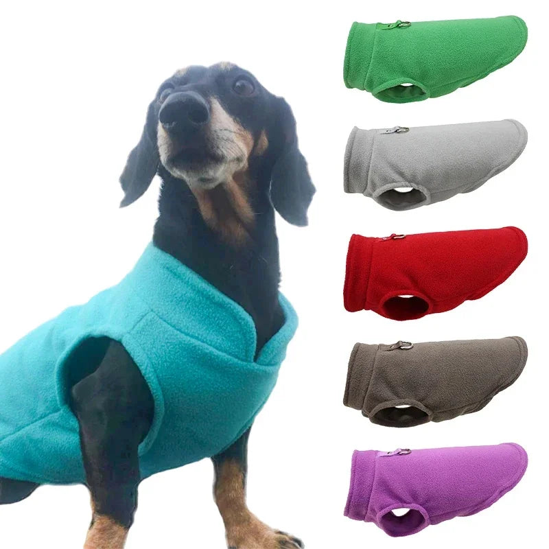 Fleece Dog Coat with D-Ring for Easy Walks by HitMyNeed