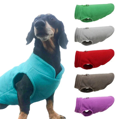 Fleece Dog Coat with D-Ring for Easy Walks by HitMyNeed