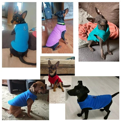Fleece Dog Coat with D-Ring for Easy Walks by HitMyNeed