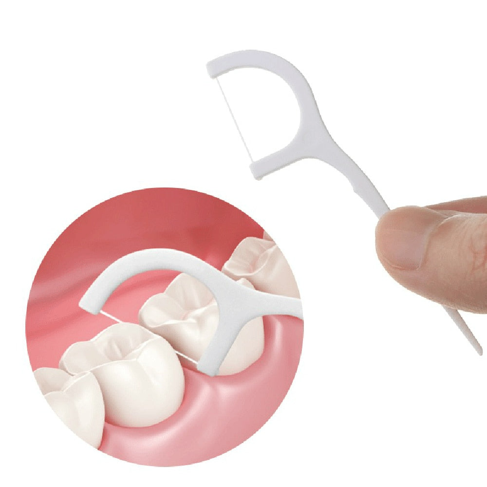 Floss Picks Oral Hygiene Tools (40 Pack) by HitMyNeed