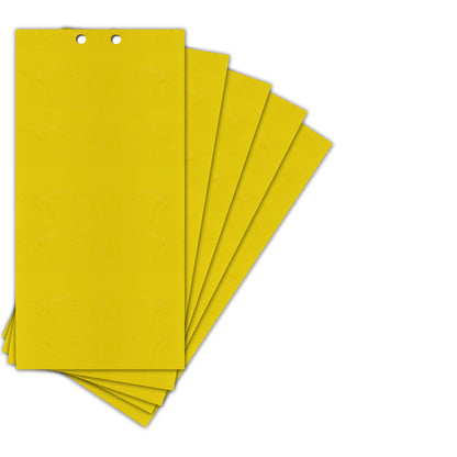 Fly Sticky Trap Double-Sided - Pack of 5 Sheets by HitMyNeed