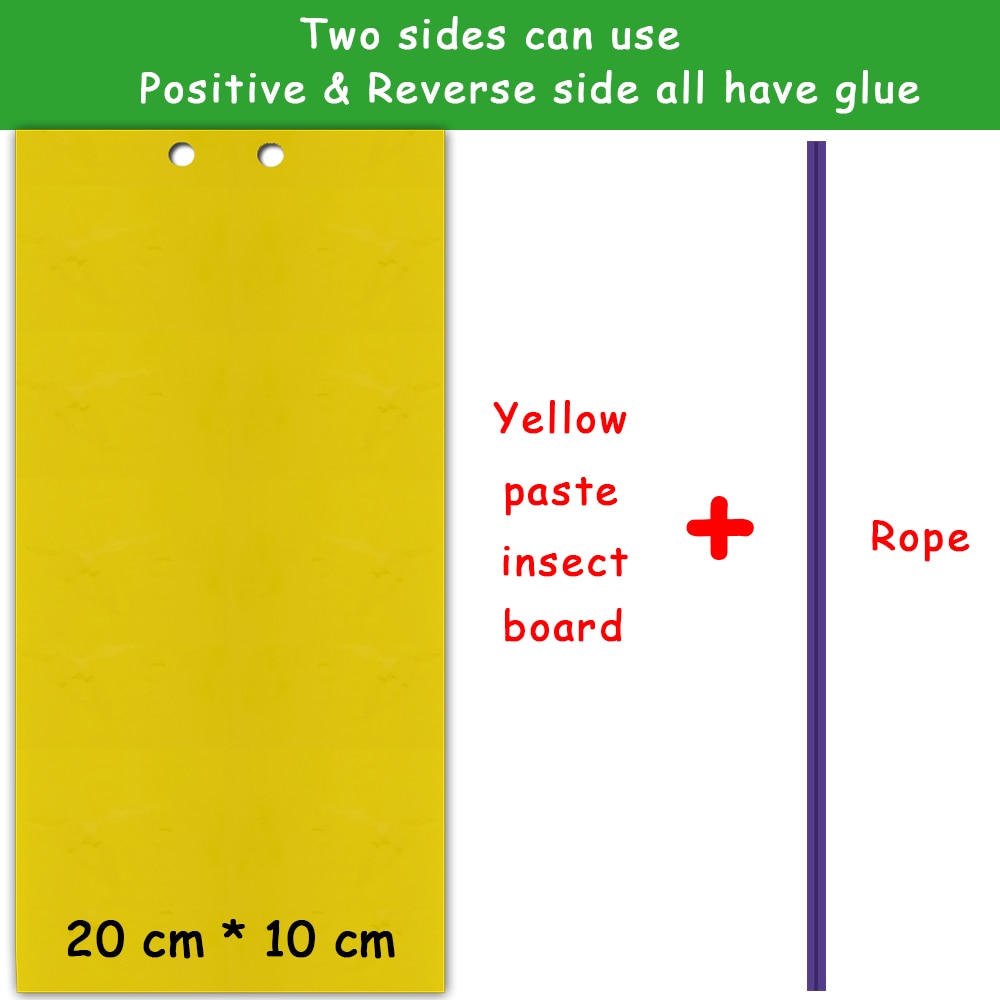 Fly Sticky Trap Double-Sided - Pack of 5 Sheets by HitMyNeed