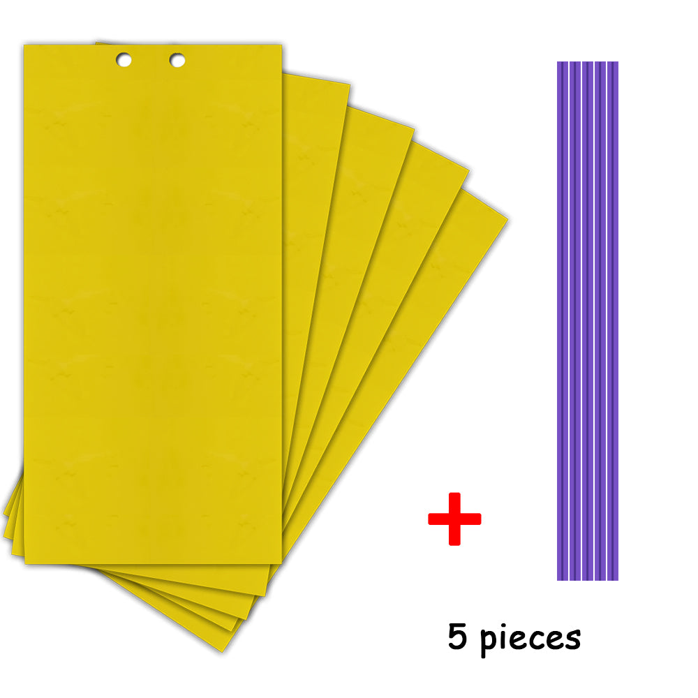 Fly Sticky Trap Double-Sided - Pack of 5 Sheets by HitMyNeed