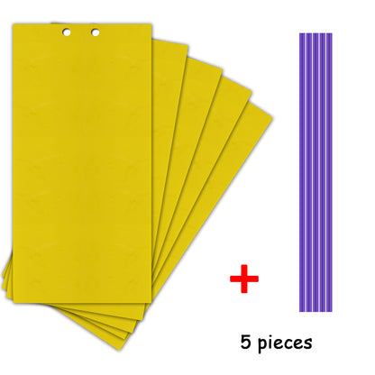 Fly Sticky Trap Double-Sided - Pack of 5 Sheets by HitMyNeed