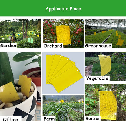 Fly Sticky Trap Double-Sided - Pack of 5 Sheets by HitMyNeed