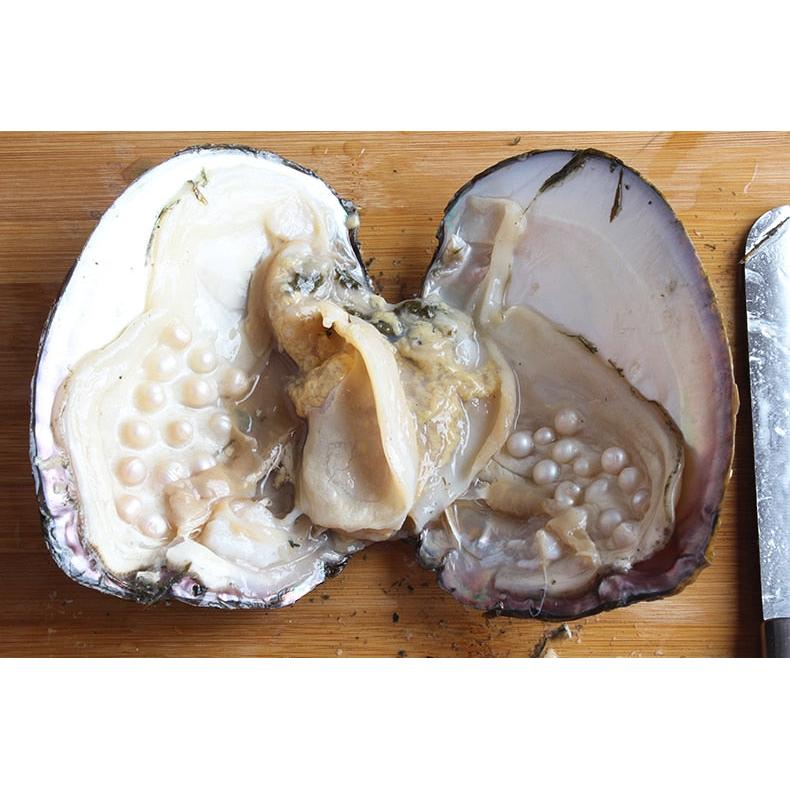 Freshwater Oyster Pearl Kit for DIY Jewelry by HitMyNeed