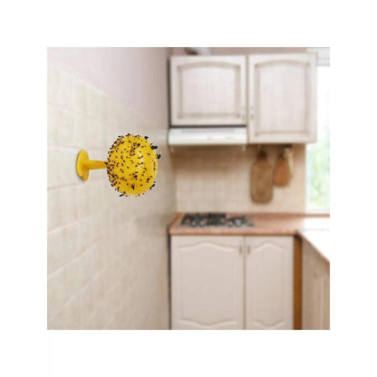 Fruit Fly Sticky Sphere Trap with Hanging Chain by HitMyNeed