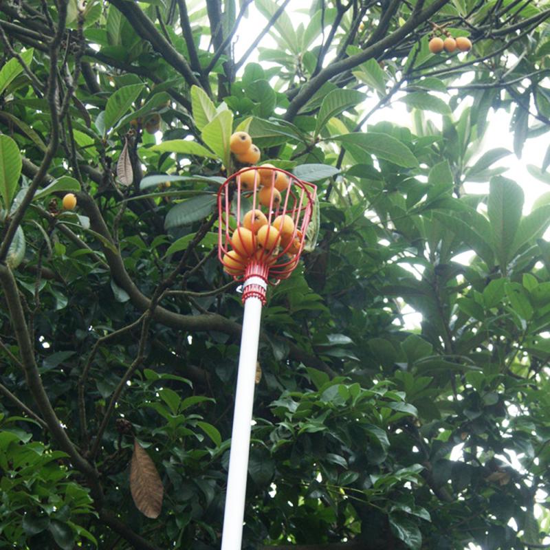 Fruit Picker Tool with Basket for Garden Harvesting by HitMyNeed