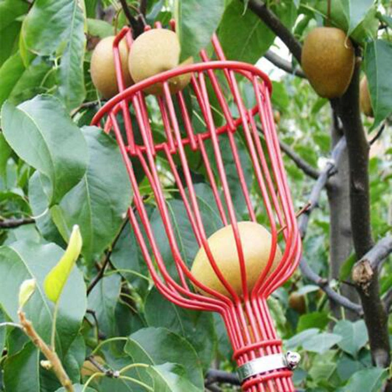 Fruit Tree Harvest Basket Picker Head by HitMyNeed