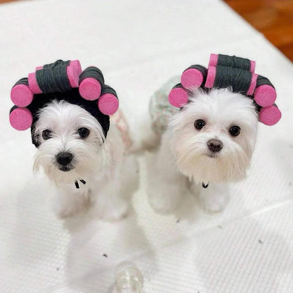 Funny Curly Adjustable Pet Hat for Cats and Dogs by HitMyNeed