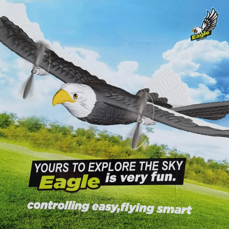 FX-651 Eagle RC Glider Airplane 2.4G 405mm by HitMyNeed