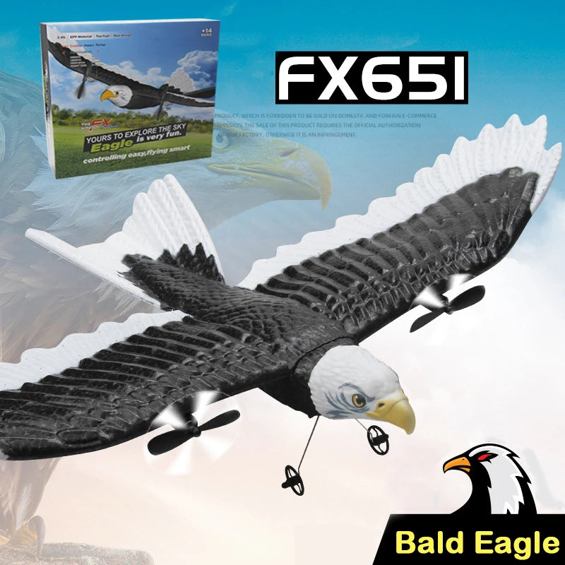 FX-651 Eagle RC Glider Airplane 2.4G 405mm by HitMyNeed