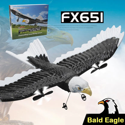 FX-651 Eagle RC Glider Airplane 2.4G 405mm by HitMyNeed
