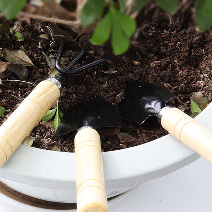 Garden Hand Tools 3-Piece Set with Wooden Handles by HitMyNeed