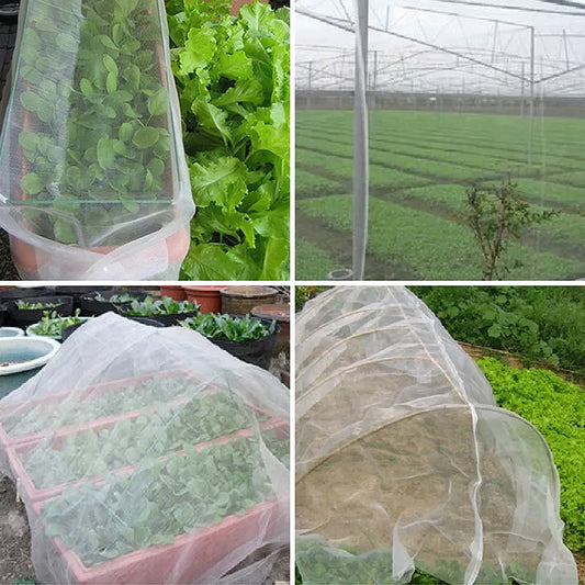 Garden Netting Mesh Plant Protection 60mesh-3x5m by HitMyNeed