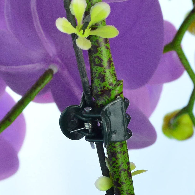 Garden Plant Support Clips 100 Pack by HitMyNeed