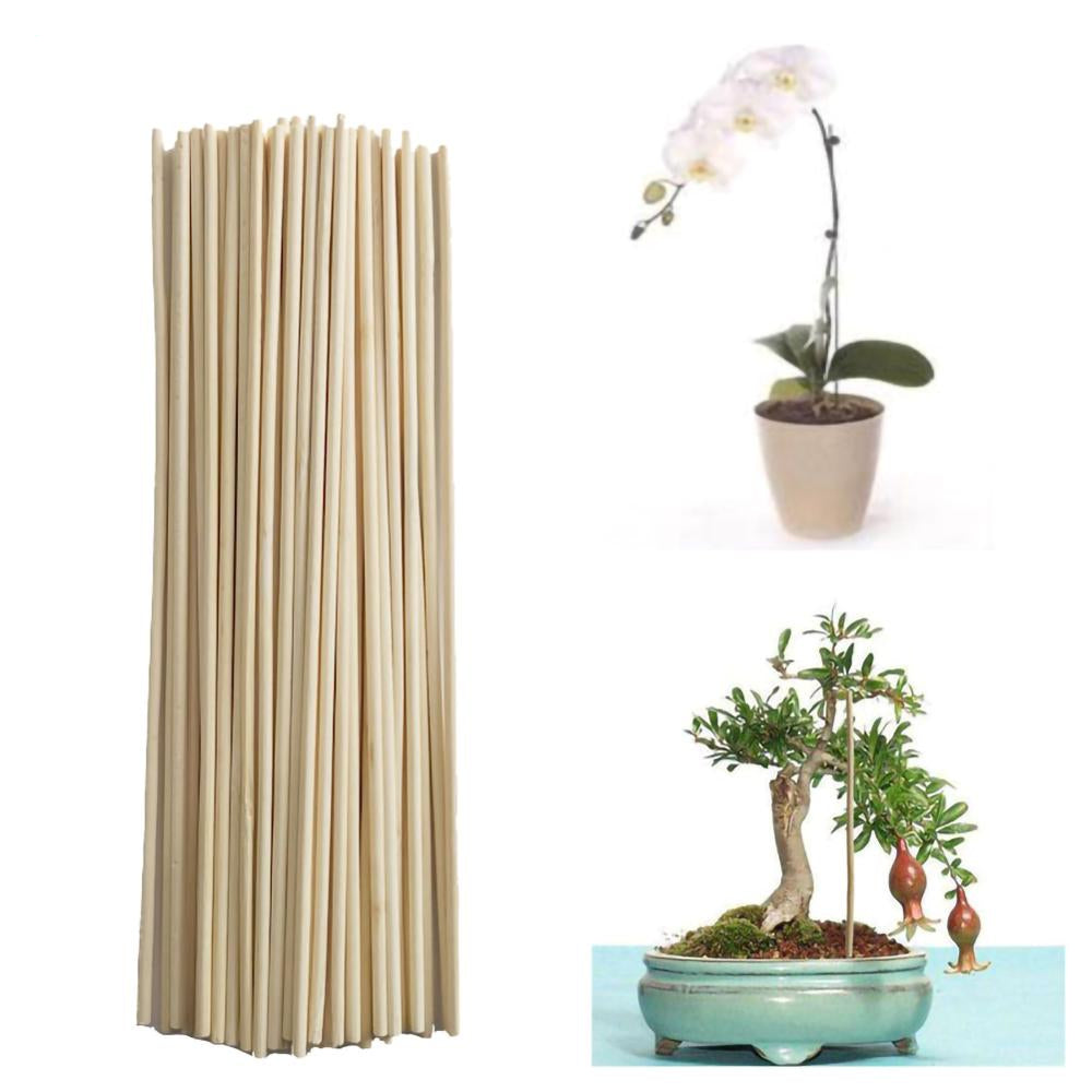 Gardening Bamboo Plant Stakes 20cm (50 Pack) by HitMyNeed