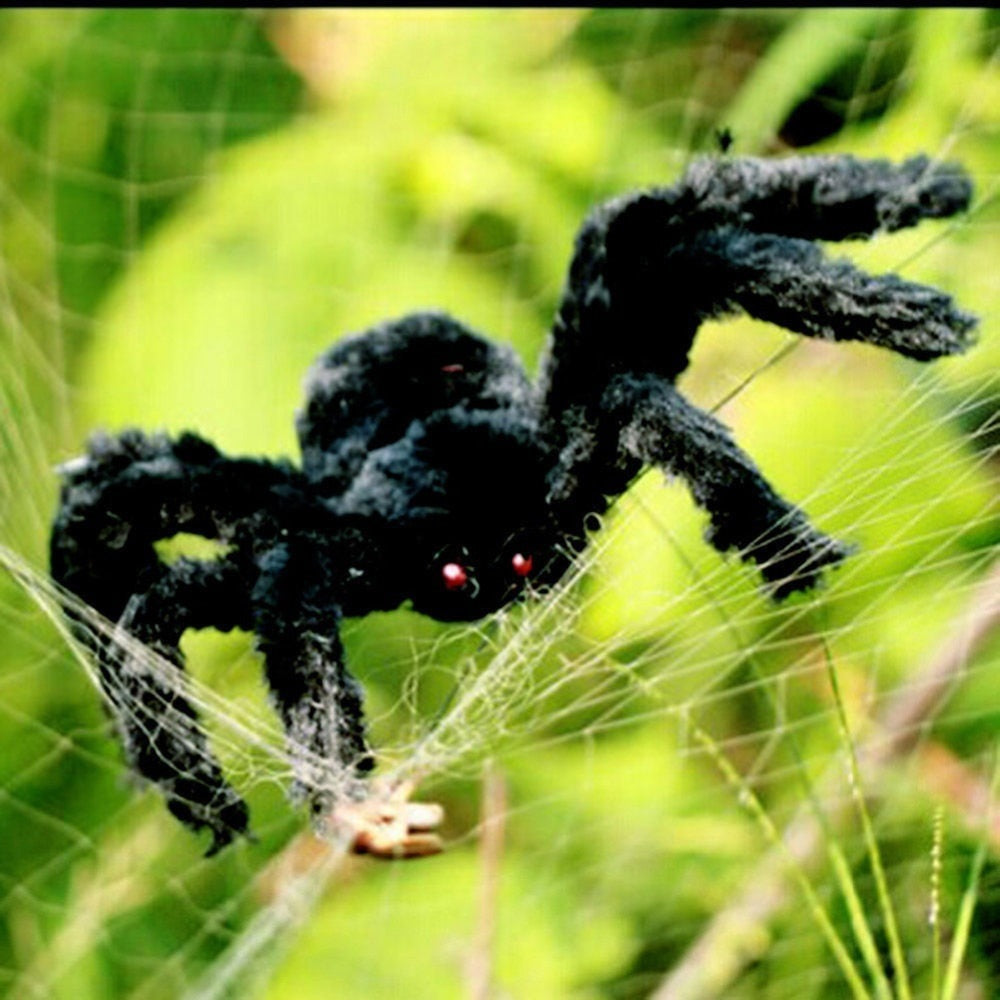 Giant Hairy Halloween Spider with Red Eyes approx-50cm by HitMyNeed