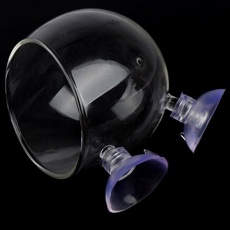 Glass Ball Aquarium Plant Pot with Suction Mount by HitMyNeed