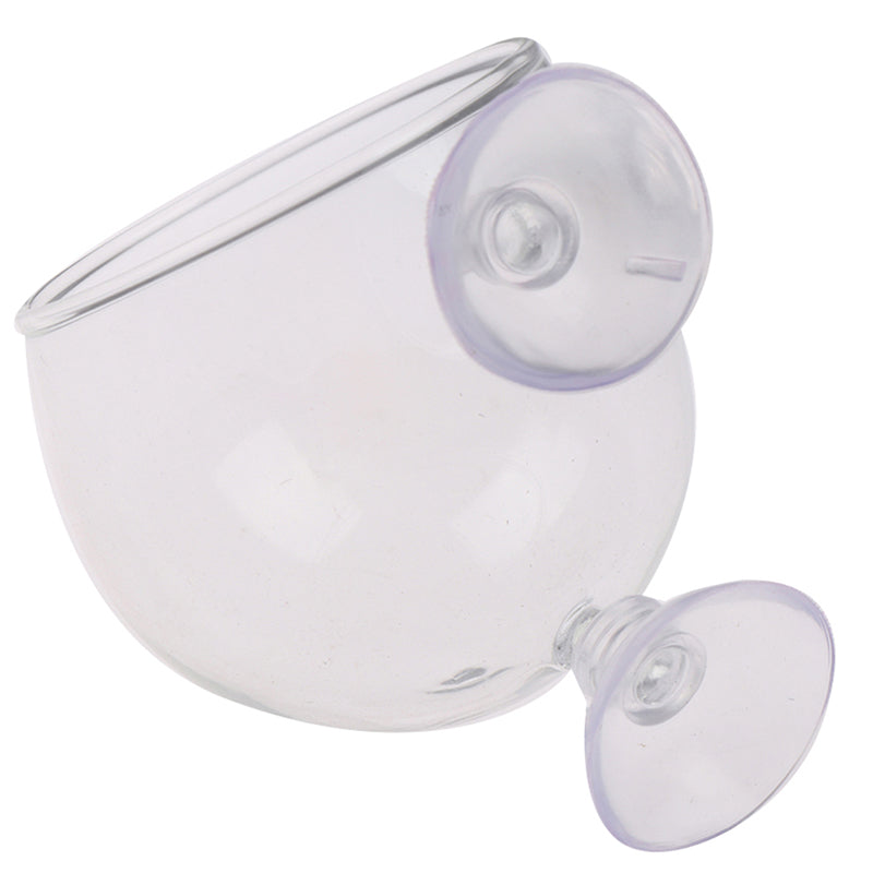 Glass Ball Aquarium Plant Pot with Suction Mount by HitMyNeed