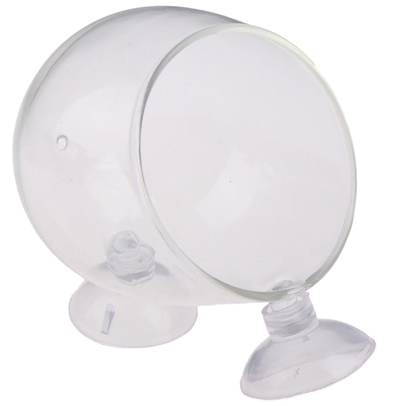 Glass Ball Aquarium Plant Pot with Suction Mount by HitMyNeed