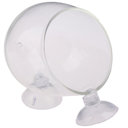 Glass Ball Aquarium Plant Pot with Suction Mount by HitMyNeed