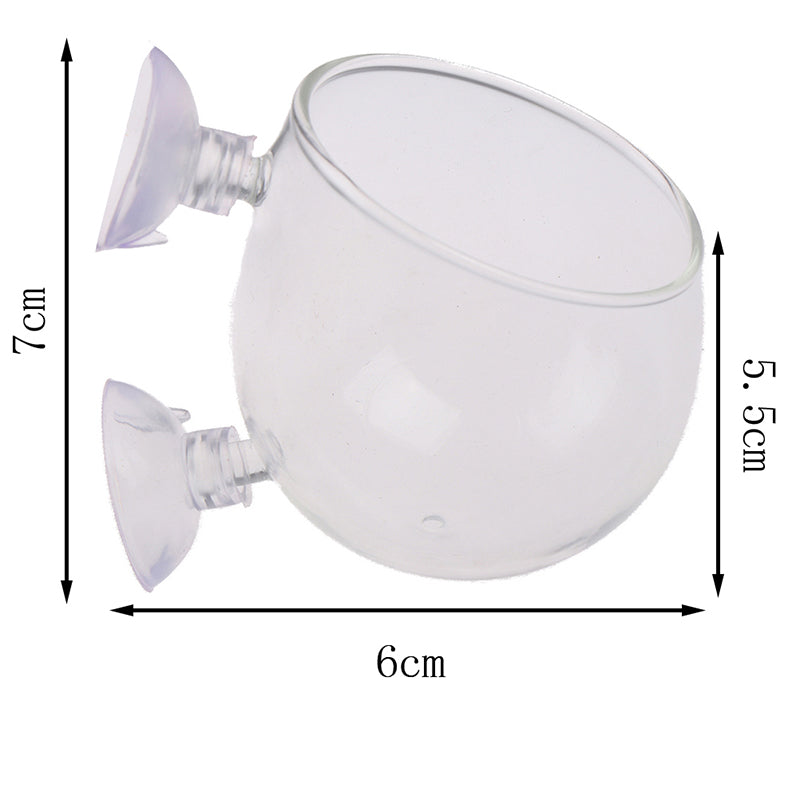 Glass Ball Aquarium Plant Pot with Suction Mount by HitMyNeed