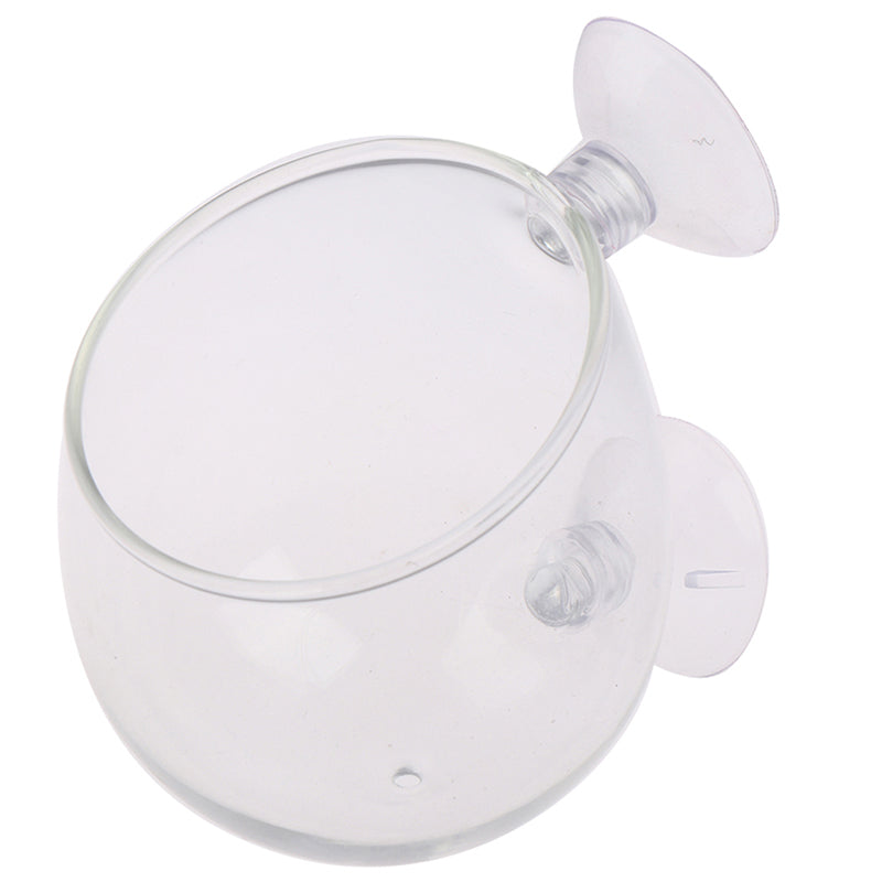 Glass Ball Aquarium Plant Pot with Suction Mount by HitMyNeed