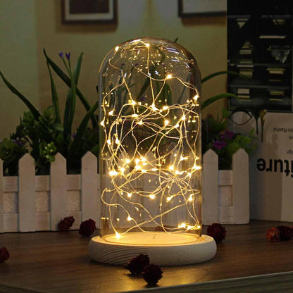 Glass Dome with Wooden Base & LED Fairy Lights 10x20cm by HitMyNeed
