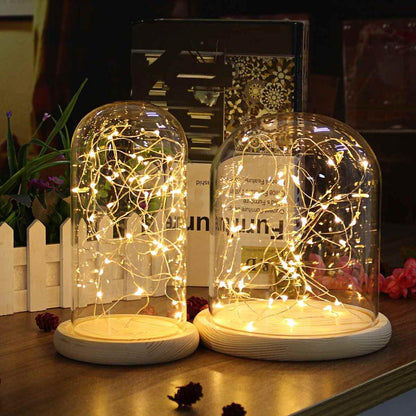 Glass Dome with Wooden Base & LED Fairy Lights by HitMyNeed