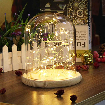Glass Dome with Wooden Base & LED Fairy Lights by HitMyNeed