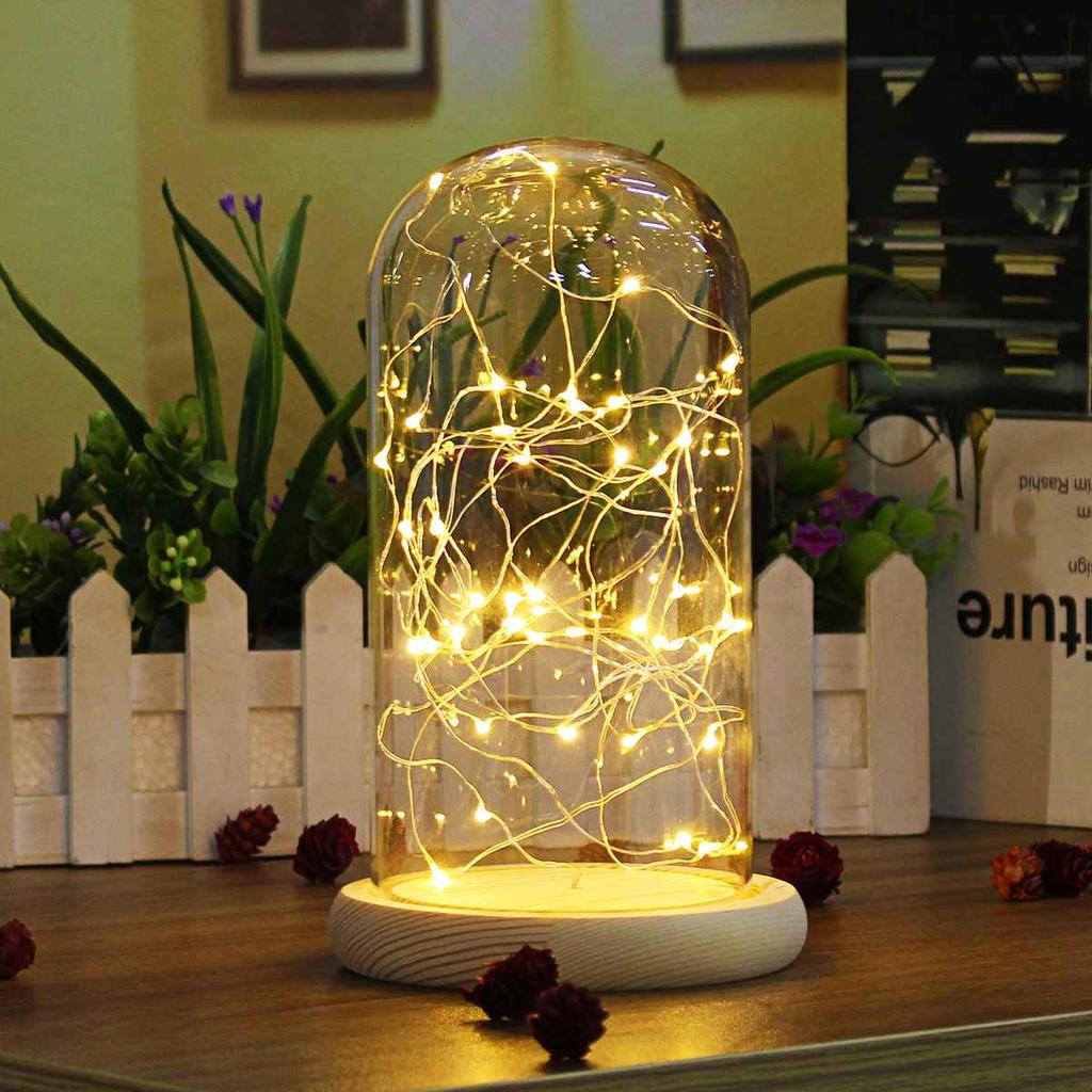 Glass Dome with Wooden Base & LED Fairy Lights by HitMyNeed
