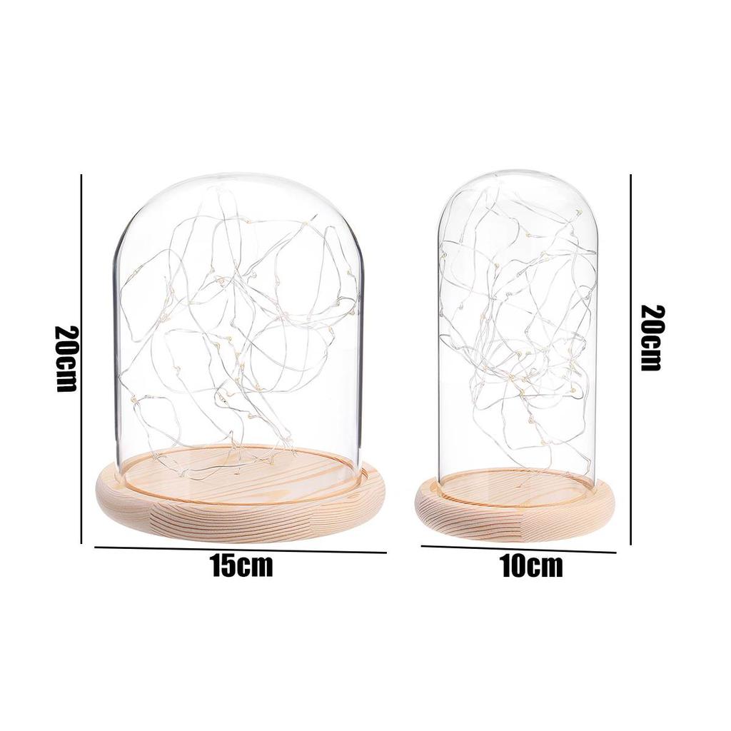 Glass Dome with Wooden Base & LED Fairy Lights by HitMyNeed