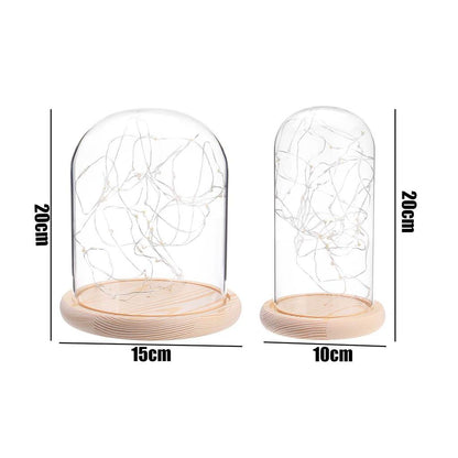 Glass Dome with Wooden Base & LED Fairy Lights by HitMyNeed