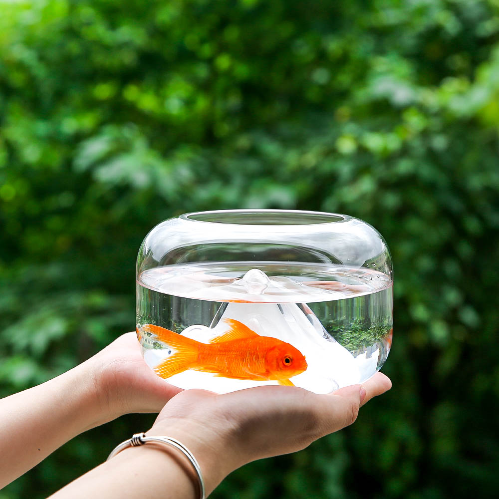 Glass Goldfish Bowl with Japanese-Style Mini Landscape by HitMyNeed