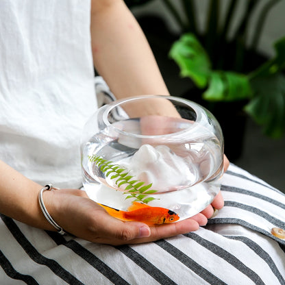 Glass Goldfish Bowl with Japanese-Style Mini Landscape by HitMyNeed