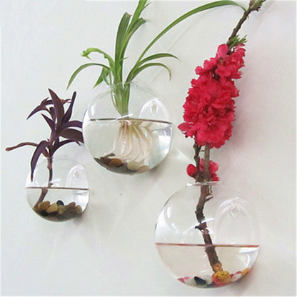 Glass Hanging Plant Pot Wall Decor 10cm by HitMyNeed