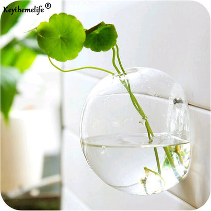 Glass Hanging Plant Pot Wall Decor 10cm by HitMyNeed