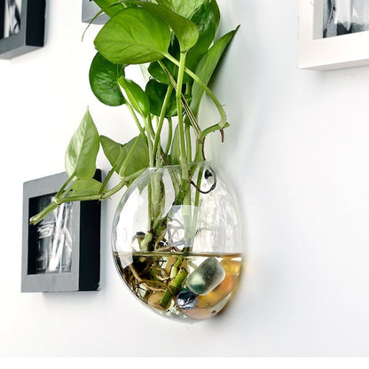 Glass Hanging Plant Pot Wall Decor 10cm by HitMyNeed