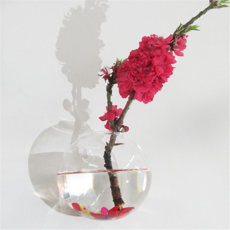 Glass Hanging Plant Pot Wall Decor 10cm by HitMyNeed