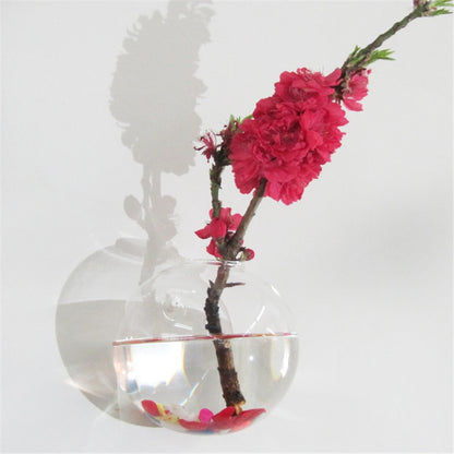 Glass Hanging Plant Pot Wall Decor 10cm by HitMyNeed
